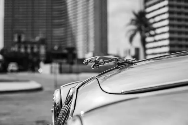 Kasino Prize Land Bingo Android/iOS Aplikácia